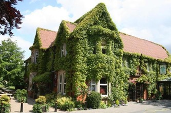 Hotel covered in green ivy